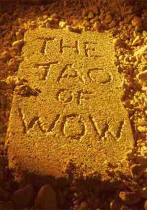 tao of wow cover
