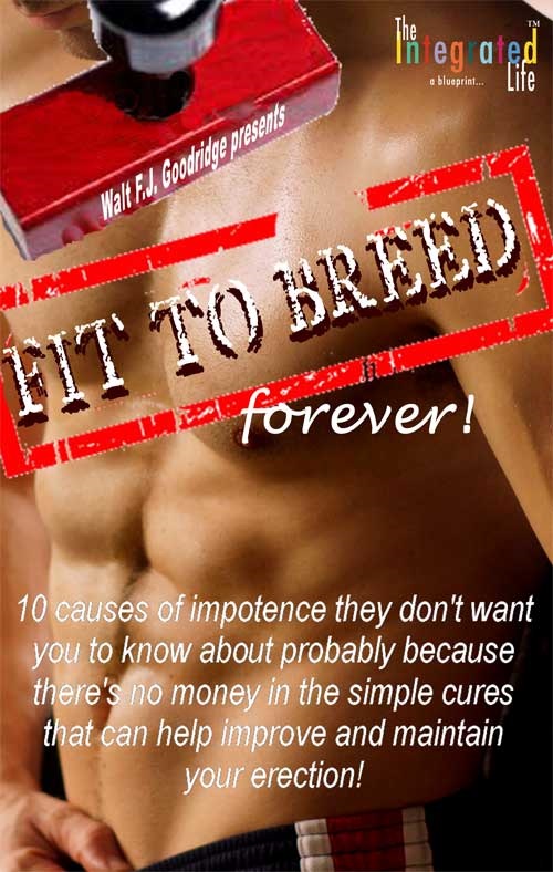 Fit to Breed...Forever book cover