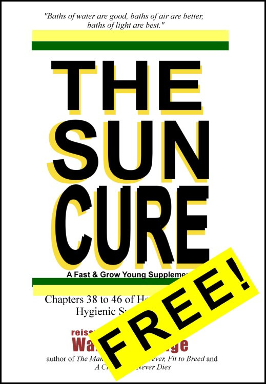 Sun Cure cover