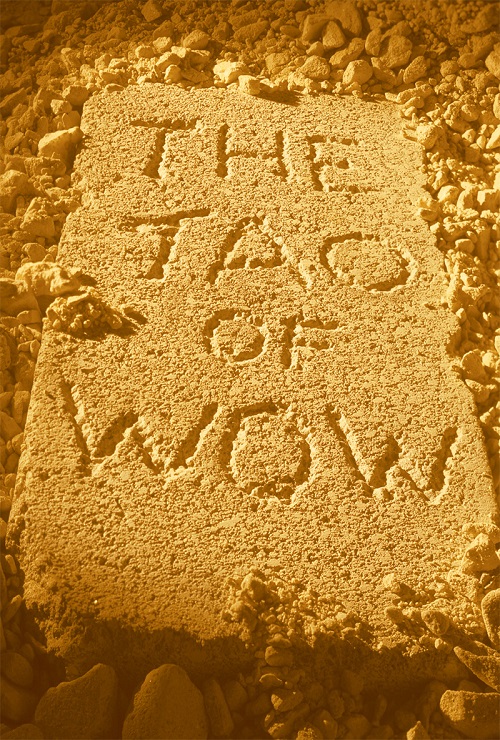 Tao of Wow book cover